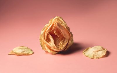 Treating Vaginal Dryness: All you need to know